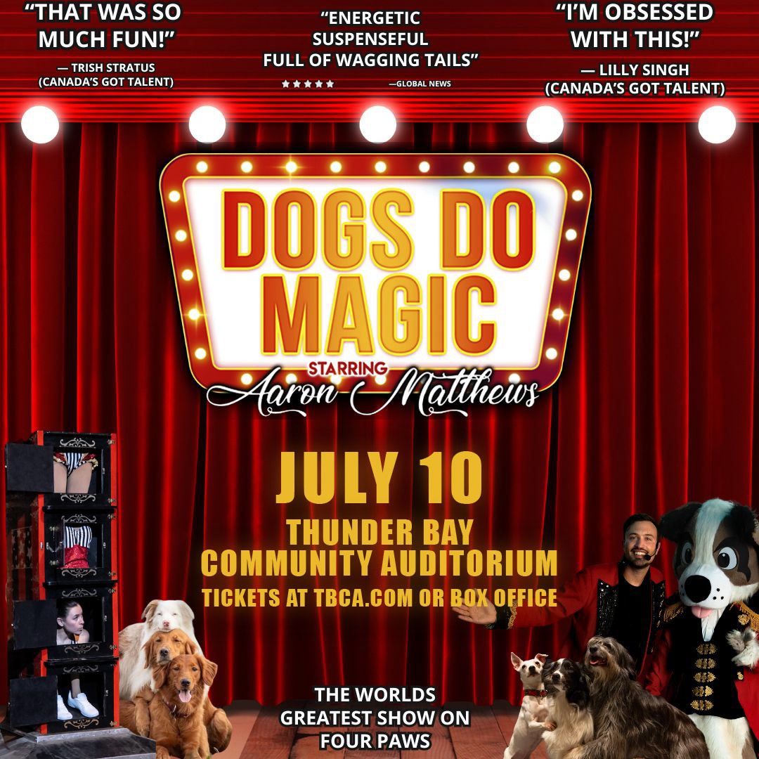 Dogs Do Magic