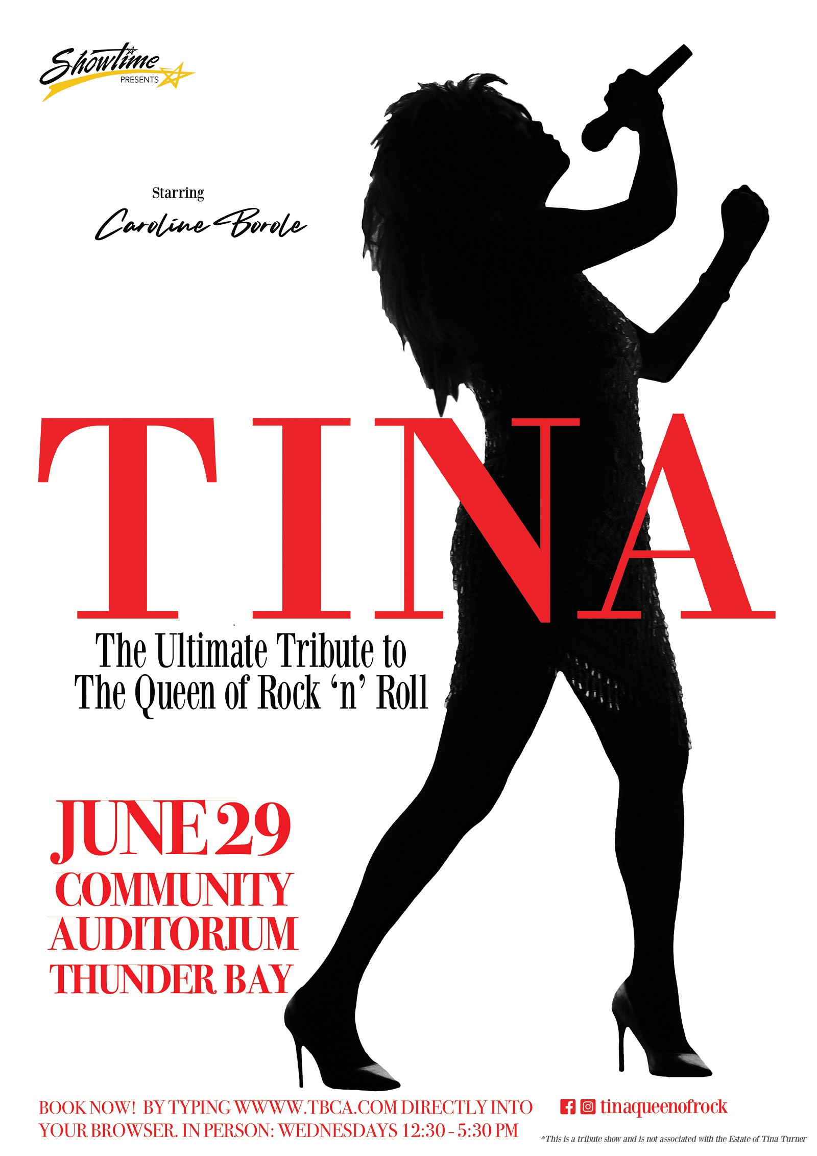 TINA The Ultimate Tribute to the Queen of Rock 